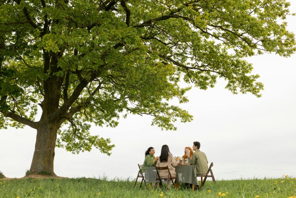 pexels-photo-9578722-9578722 Friends enjoying a picnic under a large oak tree outdoors on a sunny day.